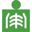 x-ray